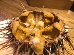 海胆-潮庭·大连海鲜·炭火烧烤·扇贝王(大连店)