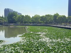 -南翔镇银翔湖公园