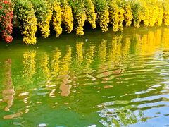 -杭州植物园