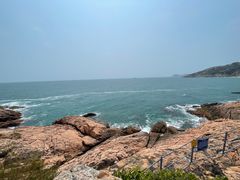 -广东惠东海龟国家级自然保护区