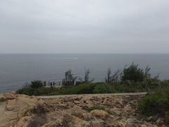 -广东惠东海龟国家级自然保护区