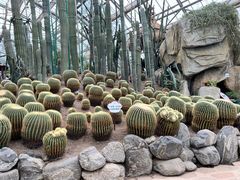 -南山植物园