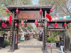 -合肥滨湖国家森林公园