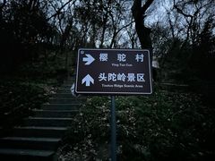 -紫金山山顶公园