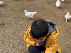 -荆州中山公园动物园