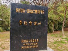 -西安乐游原