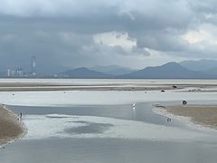-深圳湾公园(南山区)