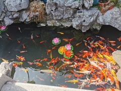 -西林禅寺