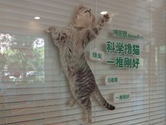 -瑞派·关忠动物医院(国瑞店)