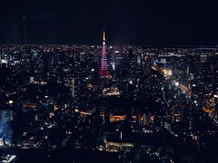 -六本木新城展望台(东京城市景观)
