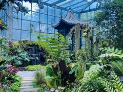 -东莞植物园