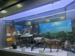 -国家自然博物馆