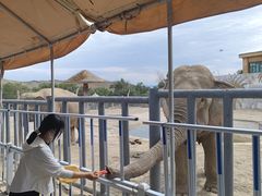 -新疆天山野生动物园