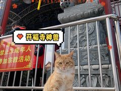 -开福禅寺