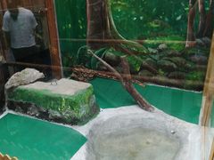 -上海大自然野生昆虫馆(东方明珠·爬宠昆虫探索中心)