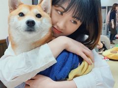 -逗柴咖啡屋·狗咖猫咖宠物桌游