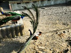 -南京金牛湖风景区