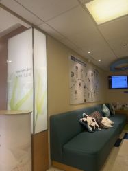 -杭州贝瑞斯美华妇儿医院·早孕·产检·儿科