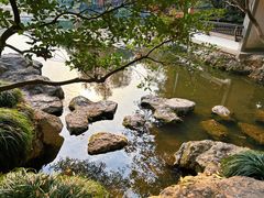 -杭州植物园