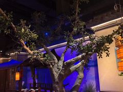 -绿茶餐厅(燕郊永旺店)