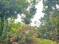 -吉隆坡雀鸟公园