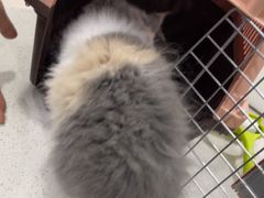 -佳雯宠物医院·皮肤科·内外科(春晓路分院)