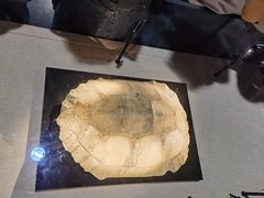 -金沙遗址博物馆