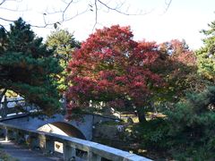 -庐山风景区花径公园