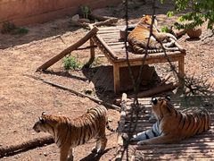 -昆明动物园