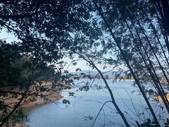 -广州市流溪河国家森林公园