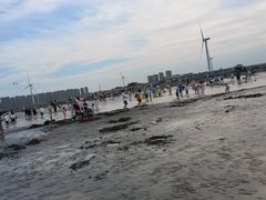 -启东黄金海滩景区