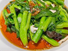 白灼菌菇菜心-新白鹿餐厅(第一百货店)