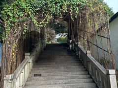 -乌山风景区
