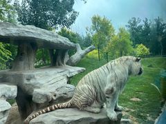 -北京野生动物园