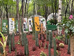 -帽儿山风景区