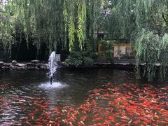 -大悲禅寺