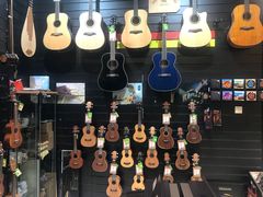 -柏斯琴行(汾阳店)
