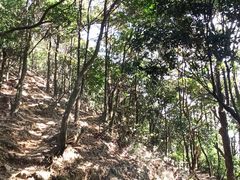 -梧桐山风景名胜区