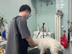-中农大我爱我爱动物医院·核磁CT·猫病·24小时夜诊中心(石佛营店)