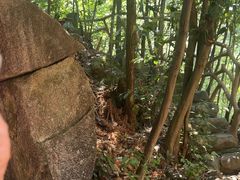 -将军关探险漂流