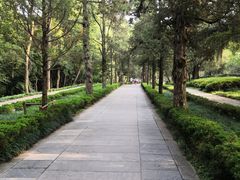-紫霞湖公园