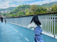 -银湖山郊野公园-相思林