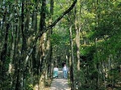 -梧桐山风景名胜区