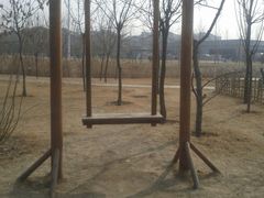 景点-西安世博园