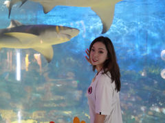 -烟台海昌鲸鲨海洋公园