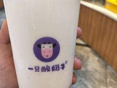 -一只酸奶牛(八一路店)