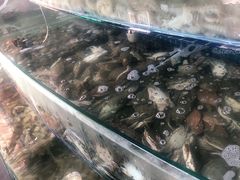 -蟹谢蒸鲜自助餐厅