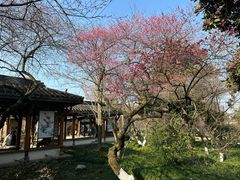 -杭州植物园