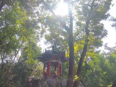 -莲湖公园