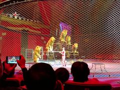 -珠海横琴长隆《卡卡虎奇遇记》